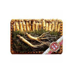 [고려인삼] 금산 행복한삼 수삼 특 4호 750g/16~19편