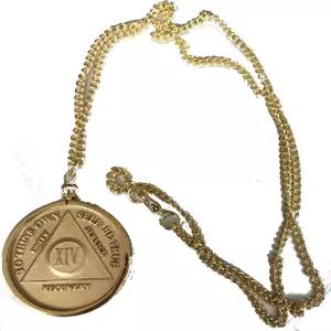 웬델의 핏 AA NA 리온 소브리에티 칩 목걸이 홀더 22인치 34x2mm 동전 장착