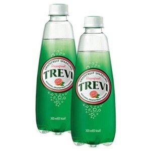 [HYD2423J_56]롯데 자몽 트레비 300ml 20PET (36253882)