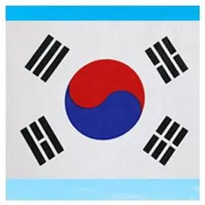 [제이큐]거리용 월드컵 국기 응원영품 게양 태극기 80x120