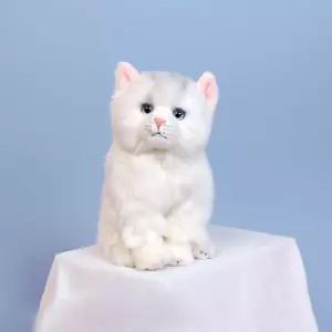 (화이트) 리얼 고양이 인형 페르시안 친칠라/애착/안아줘요/봉제/애기/어린이/선물/귀여운/동물/촉감/감정