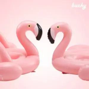 플라밍고 핑크 튜브 (100cm) PP-1 [BIY99715]