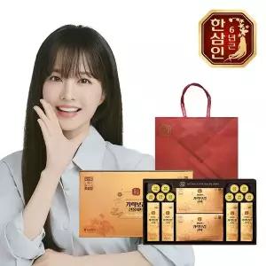 [한삼인]농협홍삼 한삼인 기력보감 선물세트+쇼핑백[36178058]