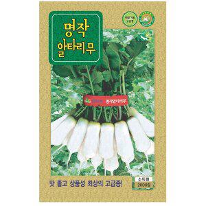 [기타]명작 알타리씨앗 2000립  총각무씨앗