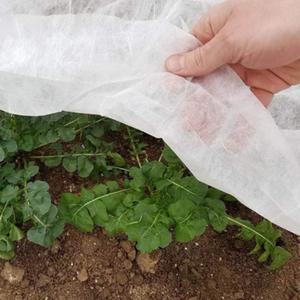 마늘부직포 백색부직포 쌈채소 농업용 부직포 50g 농사용