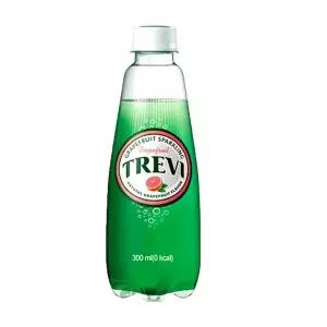 [롯데칠성음료] [M]트레비 자몽 300ml 20입.