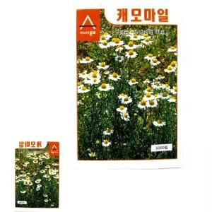 뮤 종자 캐모마일 허브 씨앗 종묘 씨 사랑스런꽃