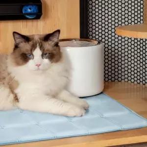 시트 고양이 강아지매트 쿨링 강아지쿨매트 쿨매트 강아지 냉감패드