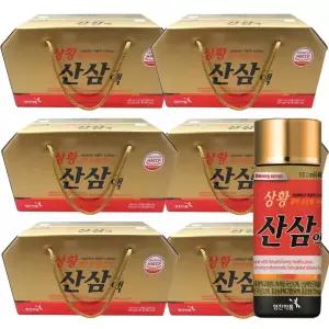 영진약품 상황 산삼 배양근액 100mlX60병(선물용)/산삼배양근 상황버섯 홍삼 드링크 음료 병문안 부모님 선물