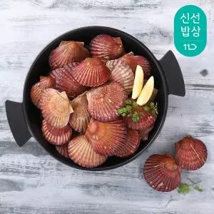 [산지명인] 통영 비단 홍 가리비 2kg 50-60미 제철 세척 조개구이