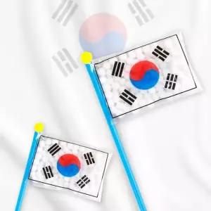 스터닝팩토리 TBZ DIY719 태극기피리만들기 학습체험 만들기재료 어린이교구 만들기패키지 만들기놀이