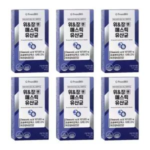 매스틱 유산균 이병헌 메스틱 매스티 노인 어르신 시니어 분말 15포 6박스 약3개월분 MJ