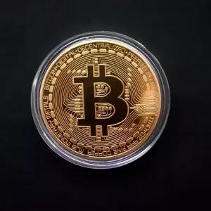 도금 기념품 아트 컬렉션 물리적 비트콘 코인 BTC 케이스 골동품 모조 금속 골드 기념