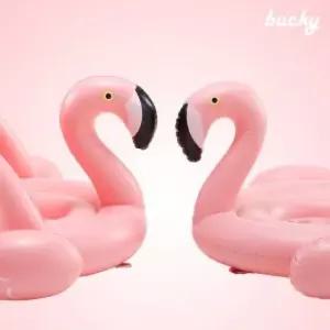 플라밍고튜브 튜브 플라밍고 버키 핑크 100cm PP-1