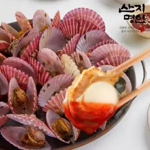 산지명인 통영 비단 홍 가리비 1kg 제철 세척 조개구이