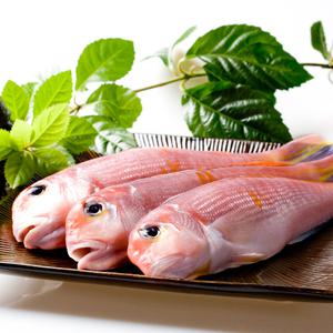 제주 참옥돔 -반건조급냉- 중 2kg (9~10마리)
