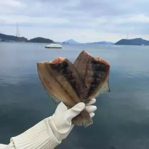 [셀러허브]반건조 가자미 500g 2-4미 급냉 (S50771332)