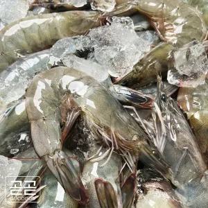 국내산 흰다리 새우 신안 제철 생물 대하 왕 생새우 2kg 활새우