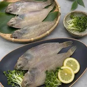 [하라네]국산 반건조 참가자미 600g내외 (4-6미) 제철 자연산 가자미