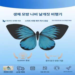 RC 비행기 나비드론 드론 행사장용 항공기 헬리콥터