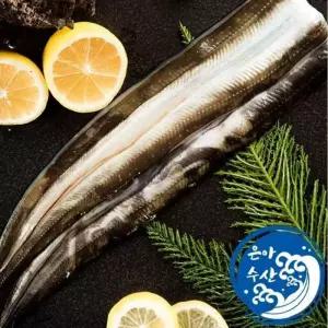통영 은아수산 자연산 바다장어 1kg