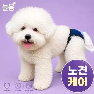 늘봄 치매노견 똥기저귀 여름매쉬 매너벨트 노묘 배변팬티