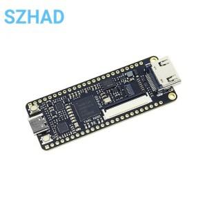 Tang Nano 9K FPGA 개발 보드, GOWIN GW1NR-9 RISC-V HDM 키트
