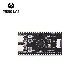 듀얼 TYPE-C USB 인터페이스  LCD SD 카드 슬롯  오픈 소스 마운리버 개발 보드  WCH RISC-V  nanoCH32V203