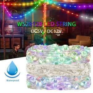 WS2812B RGBIC LED 스트립 문자열 구리 와이어 개별적으로 주소 지정이 가능 파티 웨딩 갈 랜드 데코 크리