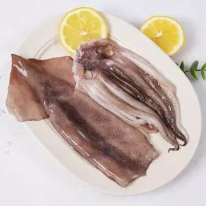 [강영수산]자연산 손질오징어 통오징어 2미(400g) x 5팩 (10마리)
