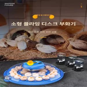 병아리 부화기 소형 계란 전자동 거위 온도조절 부화