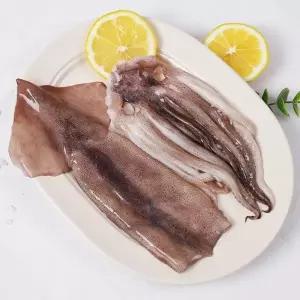 [강영수산]자연산 손질오징어 통오징어 2미(400g) x 5팩 (10마리)
