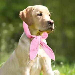 반려동물 쿨조끼 스카프 아이스팩 강아지 고양이 더위용