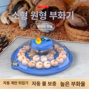 병아리 부화기 소형 거위 계란 온도조절 부화 전자동