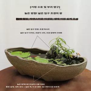 장미옹기 조명 안개 드라이플라워 부케유리돔 수지플라워