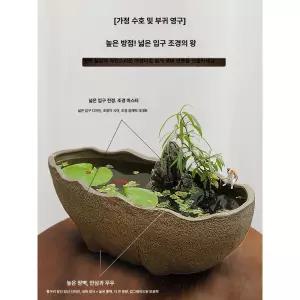 장미옹기 조명 안개 수지플라워 드라이플라워 부케유리돔