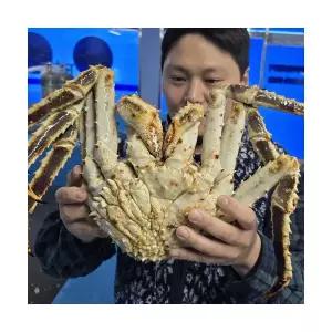러시아 자숙 블루킹크랩 4-8kg