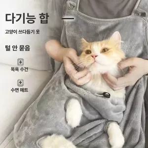 고양이 강아지 산책 백팩 배낭 기내용 켄넬 하네스 투명