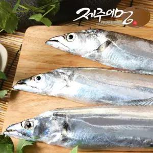 [제주어멍] 제주은갈치 230g X 6마리