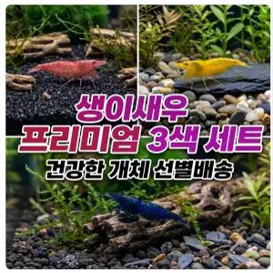 생이믹스 신호등 관상용 체리 옐로우 블루벨벳 새우 10마리 키우기