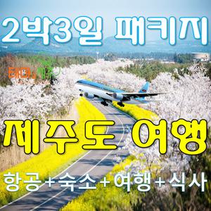 버스투어/항공포함/여행상품+관광지입장료호텔+투어패키지/2박3일/제주여행