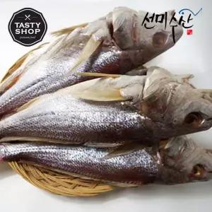 속초 중앙시장 맛집 반건조 냉동민어(대서양조기속) 36cm 3마리