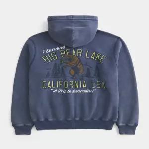 HOLLISTER 할리데이 볼트 릴리스 로고 그래픽 집업 후디