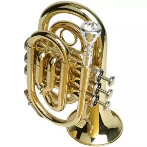 유포늄 유포니움 Euphonium 케이스포함 프로페셔널