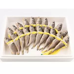 [영광수산] 굴비 장대 2호 20미, 1,200g 