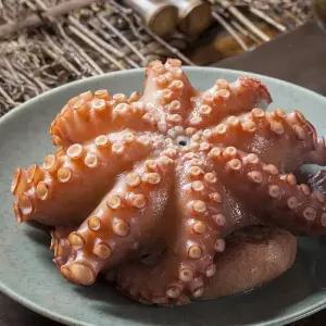 남해안 활 돌문어 1kg