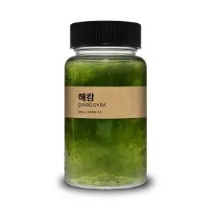 초등학교 실험 관찰생물 녹조류 해캄 100ml