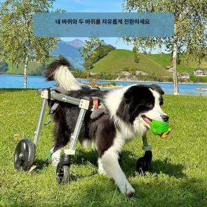 반려견 보행기 애견 접이식 운동기구 장비 이동기 바퀴