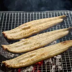 고창일번가 풍천 초벌 민물장어1kg(3미/실중량500g내외)