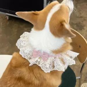 강아지 레이스 스카프 강아지스카프 케이프 핑크 M